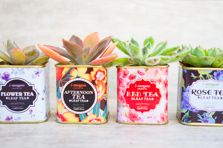succulents-tea-tins-6