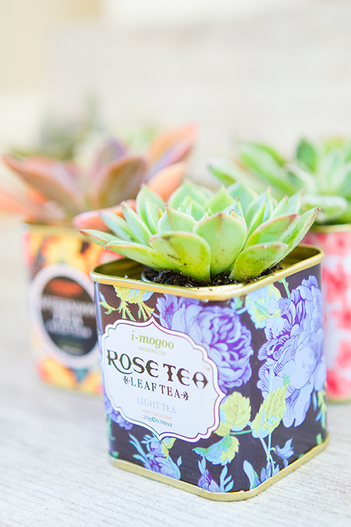 succulents-tea-tins-7b