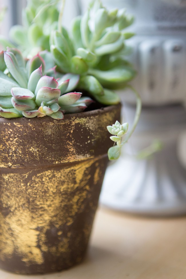 Gilded Gold Foil Terra Cotta Pot DIY