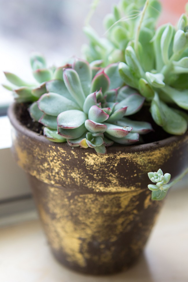 Gilded Gold Foil Terra Cotta Pot DIY