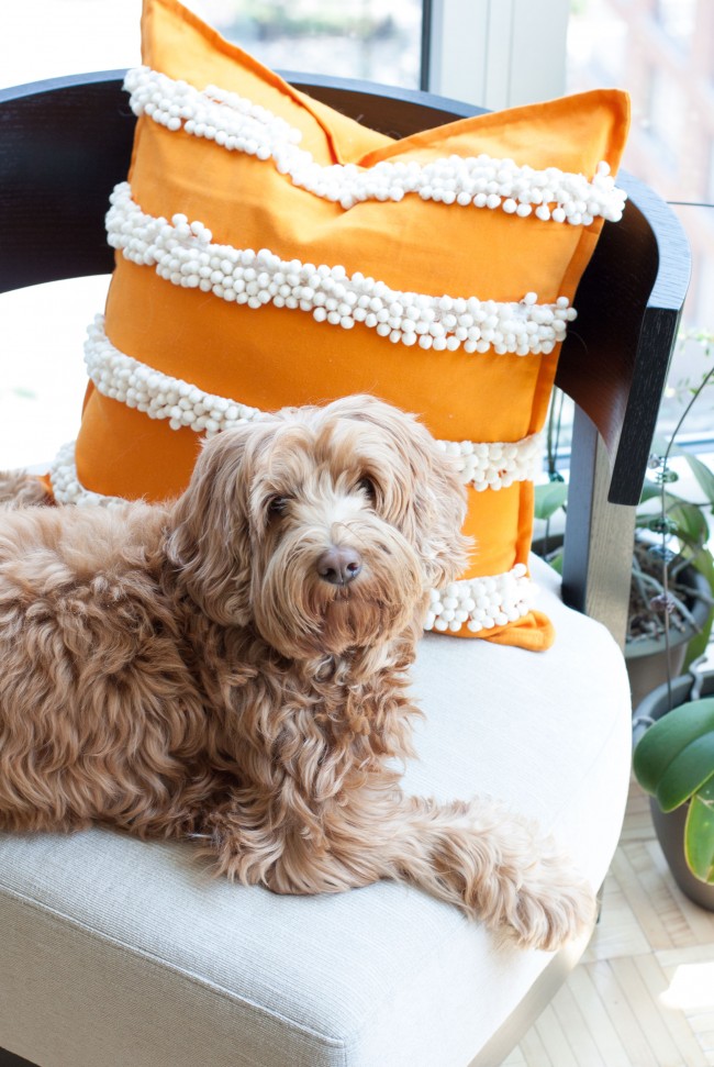 DIY-pom-pom-trim-pillow-9-thesarahjohnson