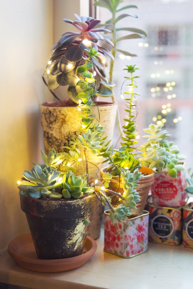 glowing-succulent-garden-diy-thesarahjohnson-12