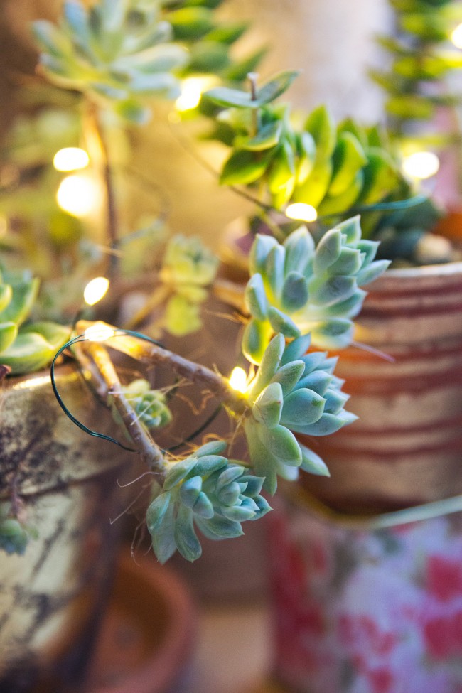 glowing-succulent-garden-diy-thesarahjohnson-9