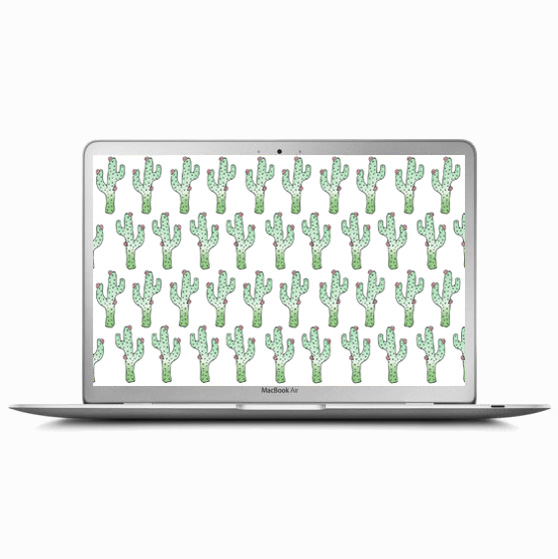 cacti-computer-square
