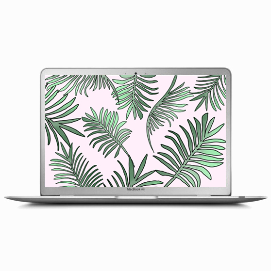 palms-computer-pink-square