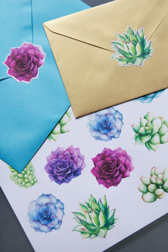 Printable Succulent Sticker Download from thesarahjohnson.com