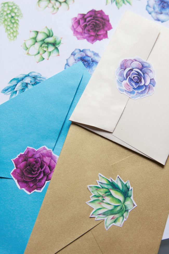 Printable Succulent Sticker Download from thesarahjohnson.com