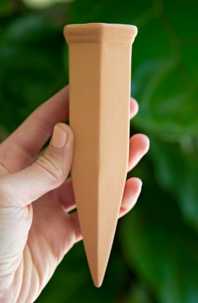 The Secret to Keep Plants Alive