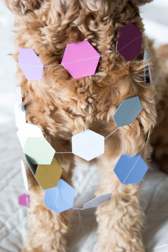 Sew Paint Chip Party Garland DIY