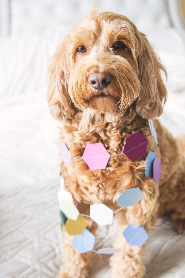 Sew Paint Chip Party Garland DIY