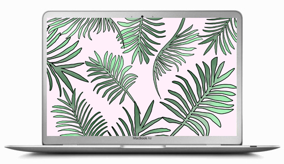 palm wallpaper