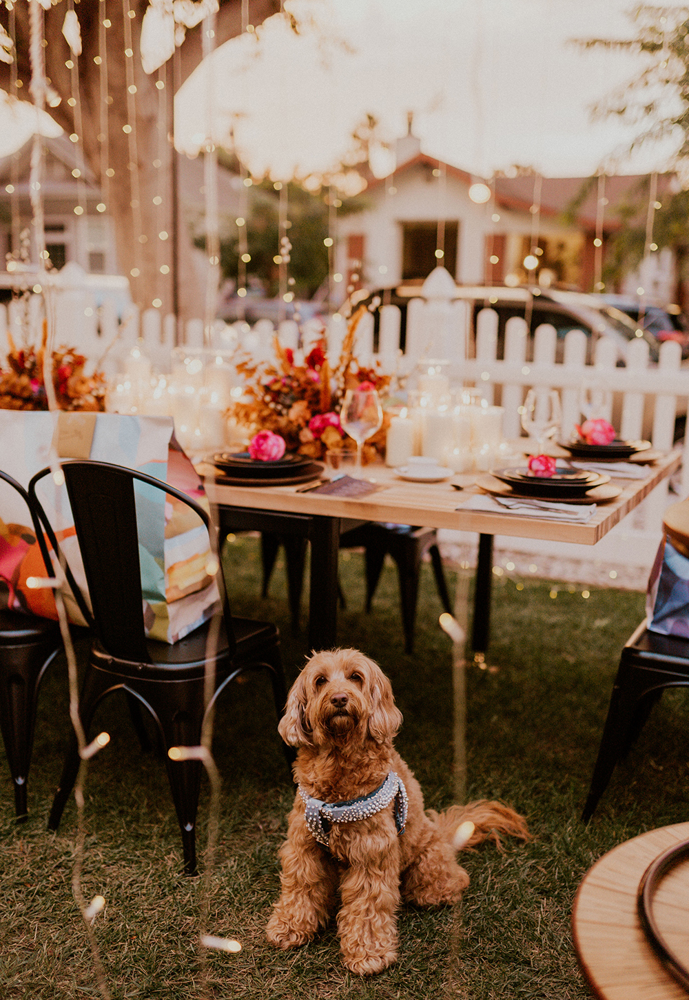 Blue Moon Dream DIY Wedding at Wayfarers Chapel in Palos Verdes, CA wedding reception labradoodle