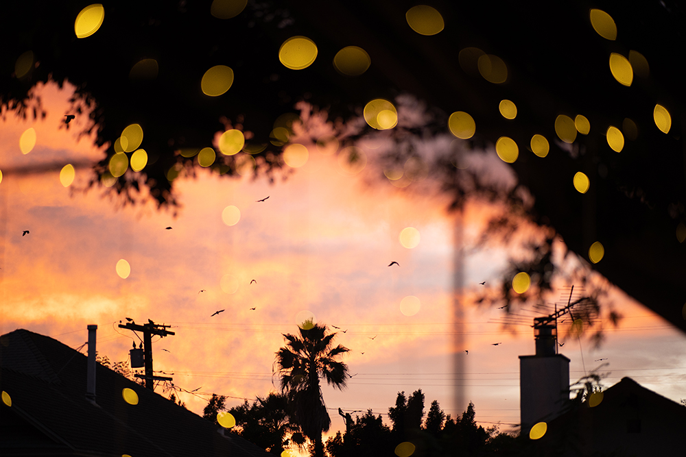 Blue Moon Dream DIY Wedding at Wayfarers Chapel in Palos Verdes, CA sunset over wedding reception