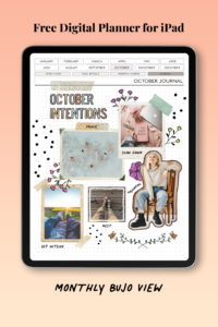 free_digital_planner_for_ipad_monthly_journal_details_2