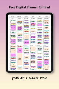free_digital_planner_for_ipad_year_at_a_glance.details.2