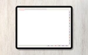 memory_planner_blank memory planner