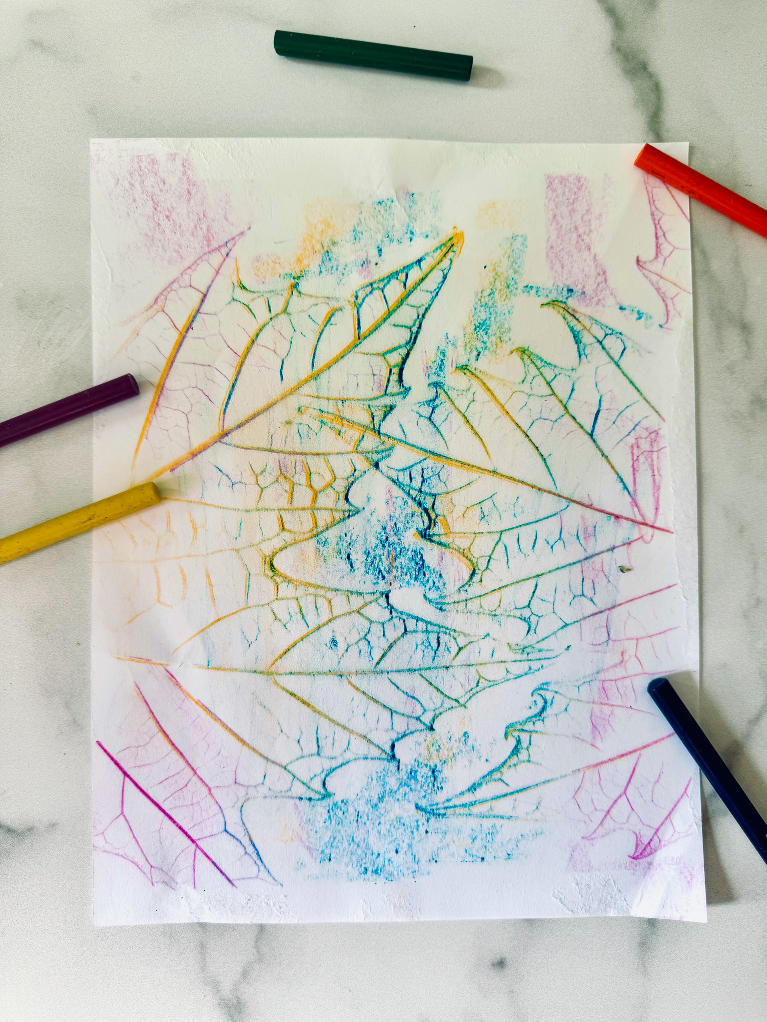 Leaf rubbing art