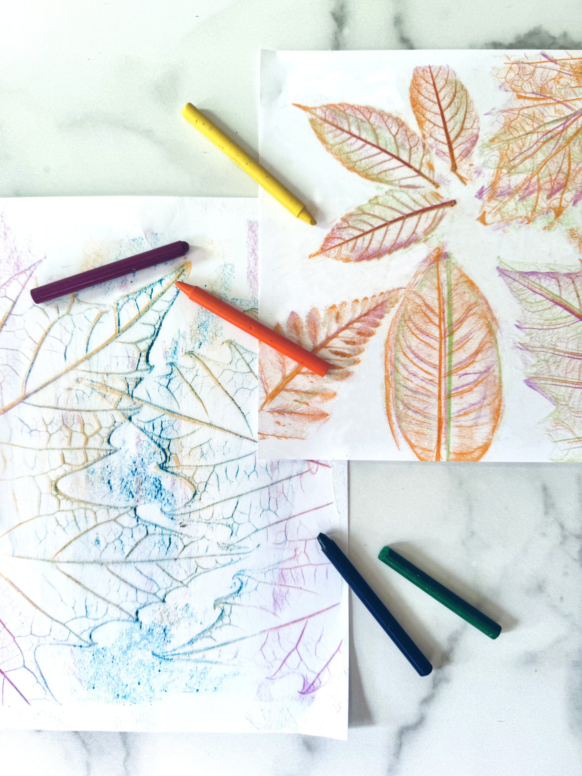 Leaf rubbing art