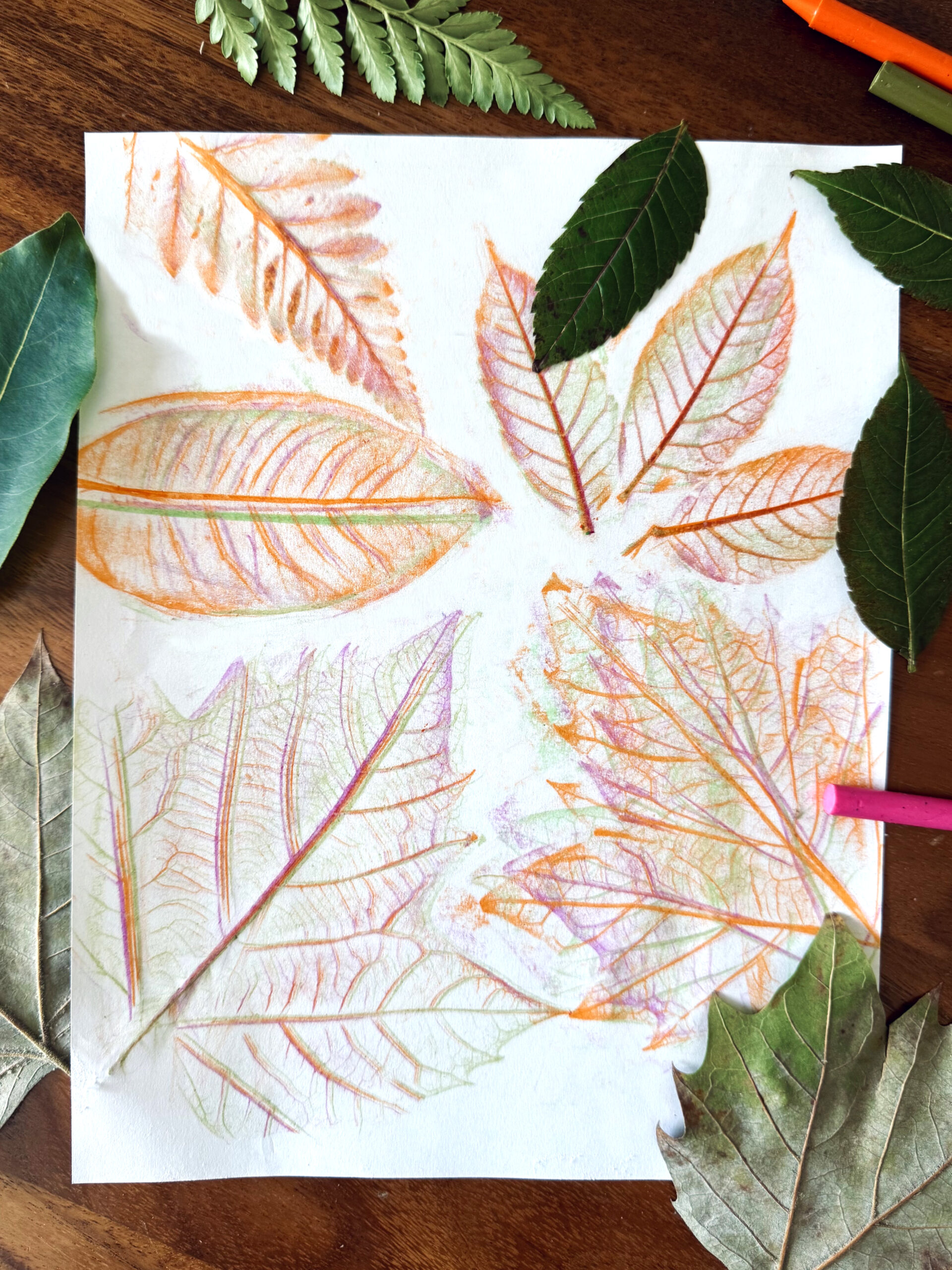 Leaf rubbing art