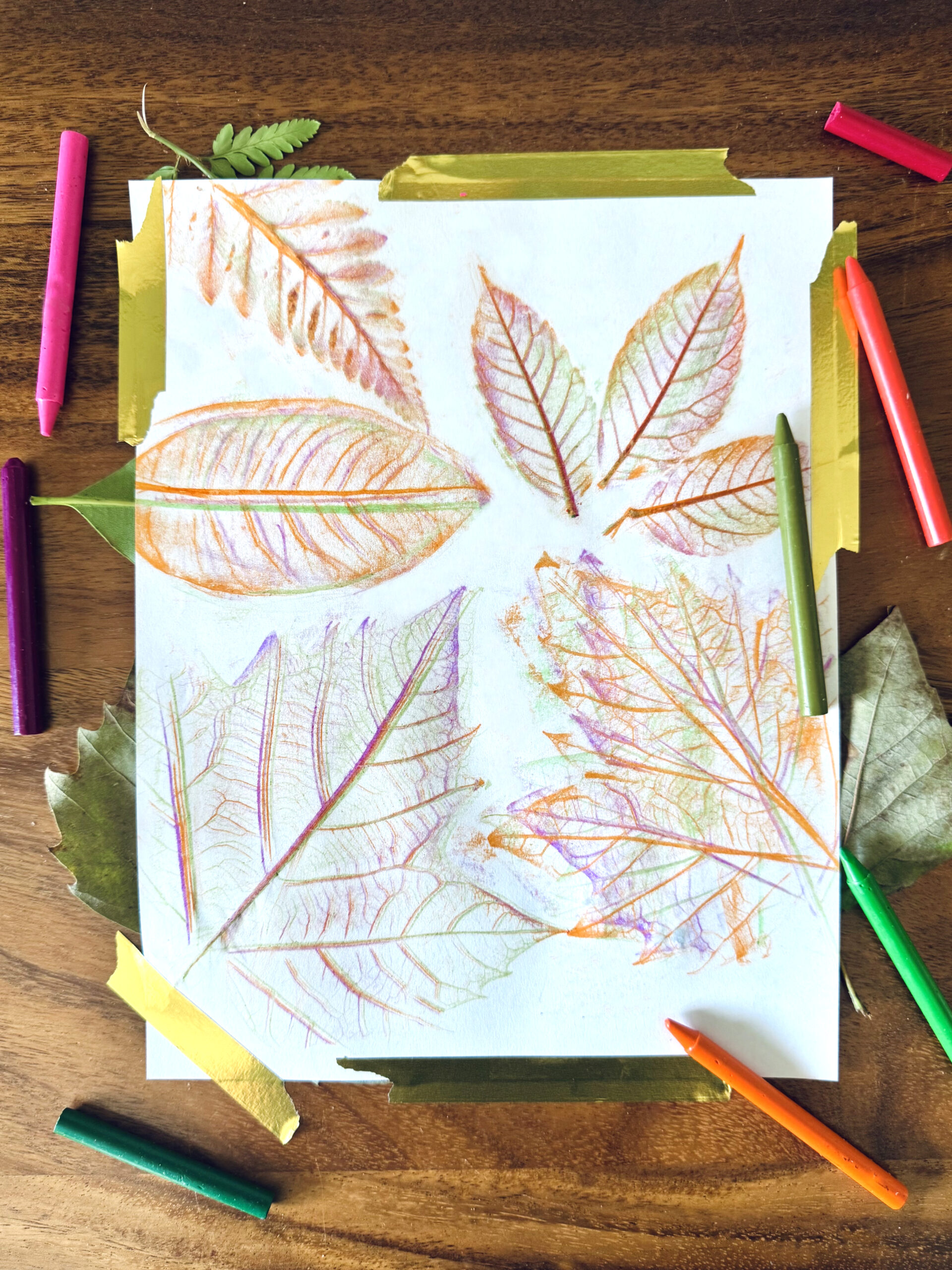 Leaf rubbing art