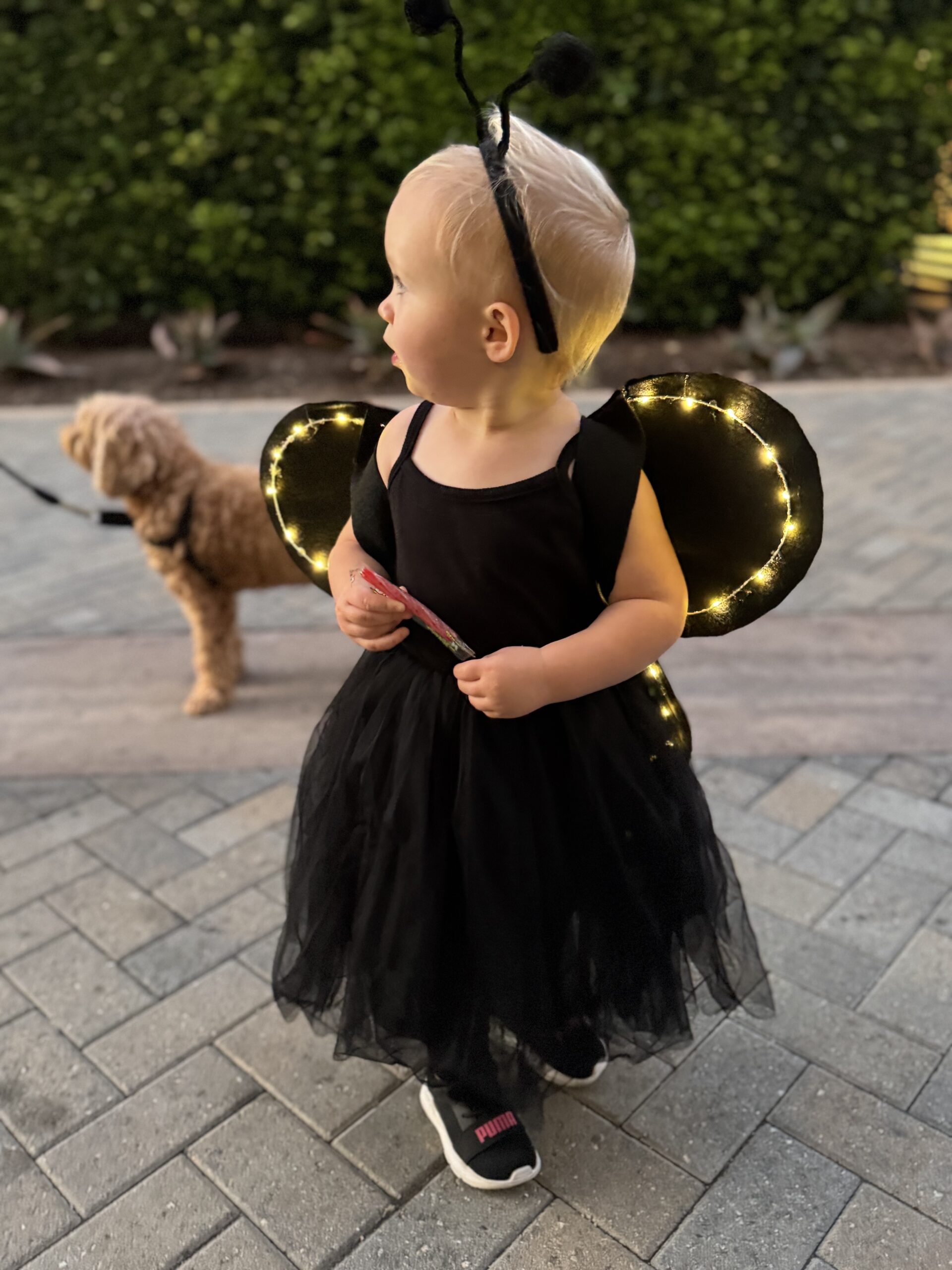 DIY_butterfly_wings_8
