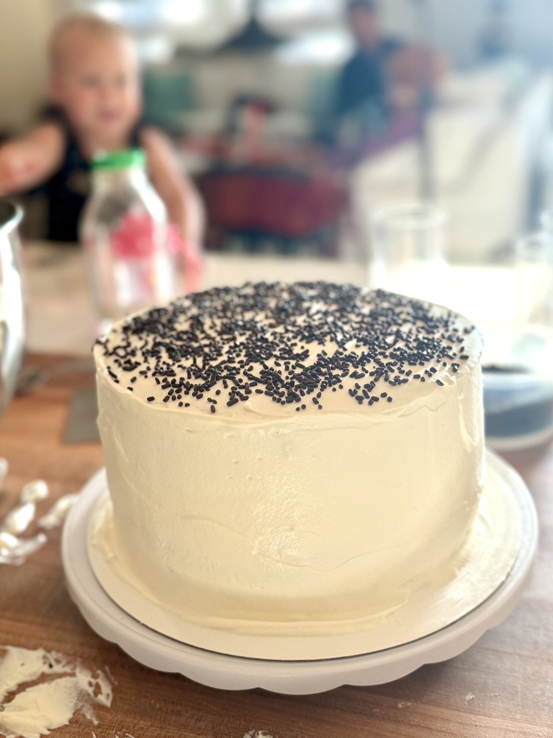 how_to_make_ice_cream_cake_4 round ce cream cake with chocolate sprinkles